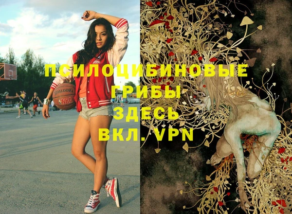 прущая мука Краснослободск